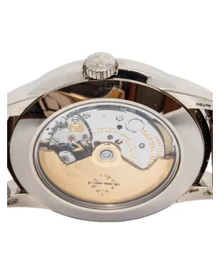 Patek Philippe Pre-Owned クリーム系ダイヤル ラウンドケース パーペチュアルカレンダー - サムネイル5