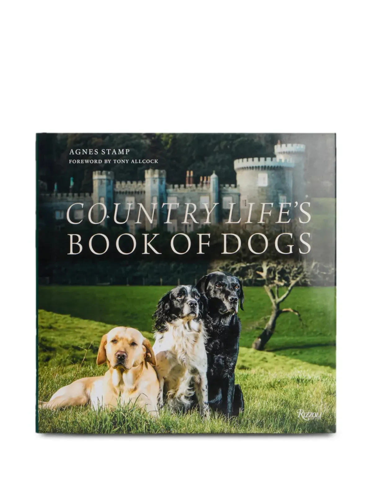 Rizzoli Country Life's Book of Dogs book - Green - 画像1