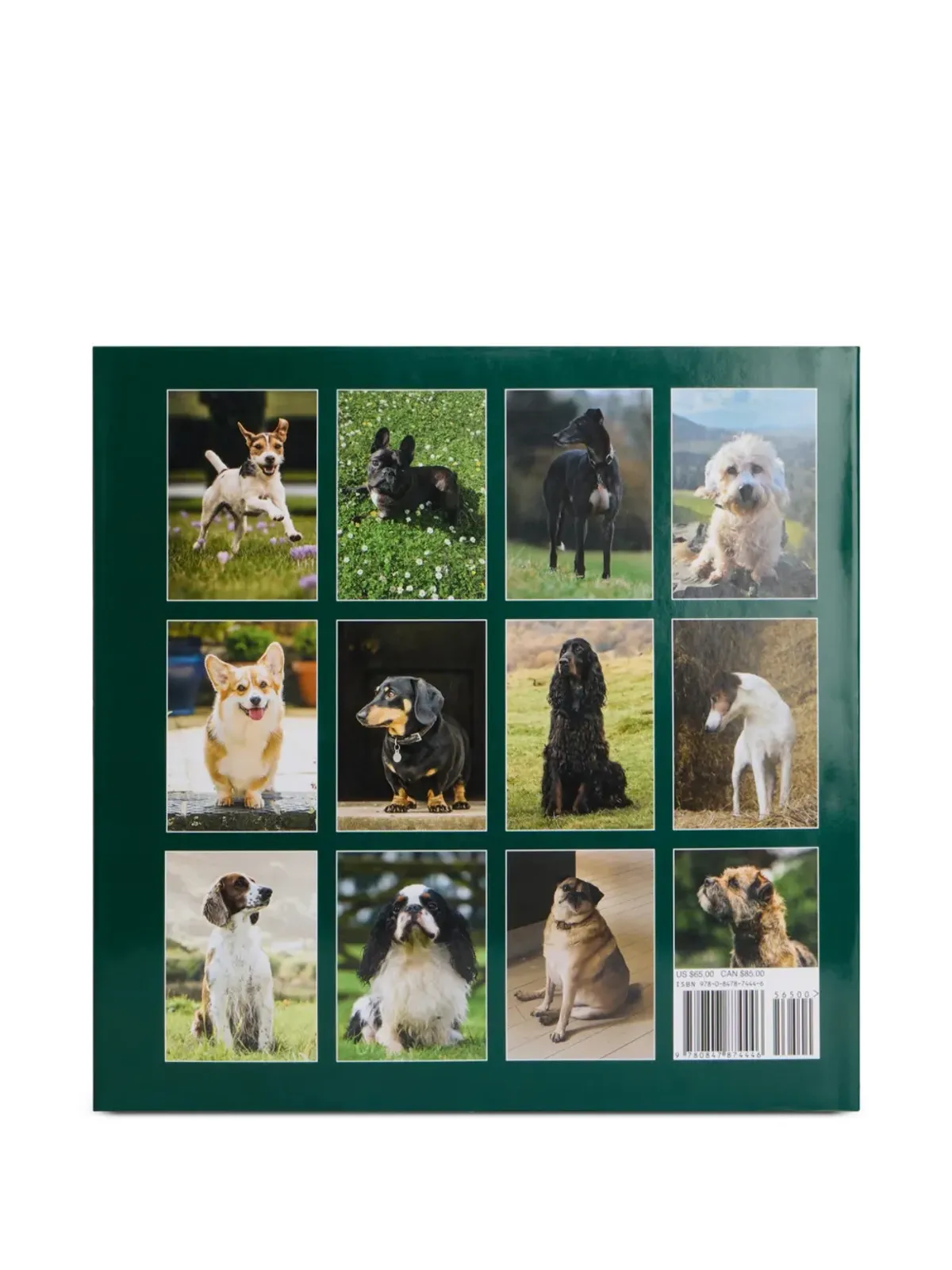 Rizzoli Country Life's Book of Dogs book - Green - 画像2
