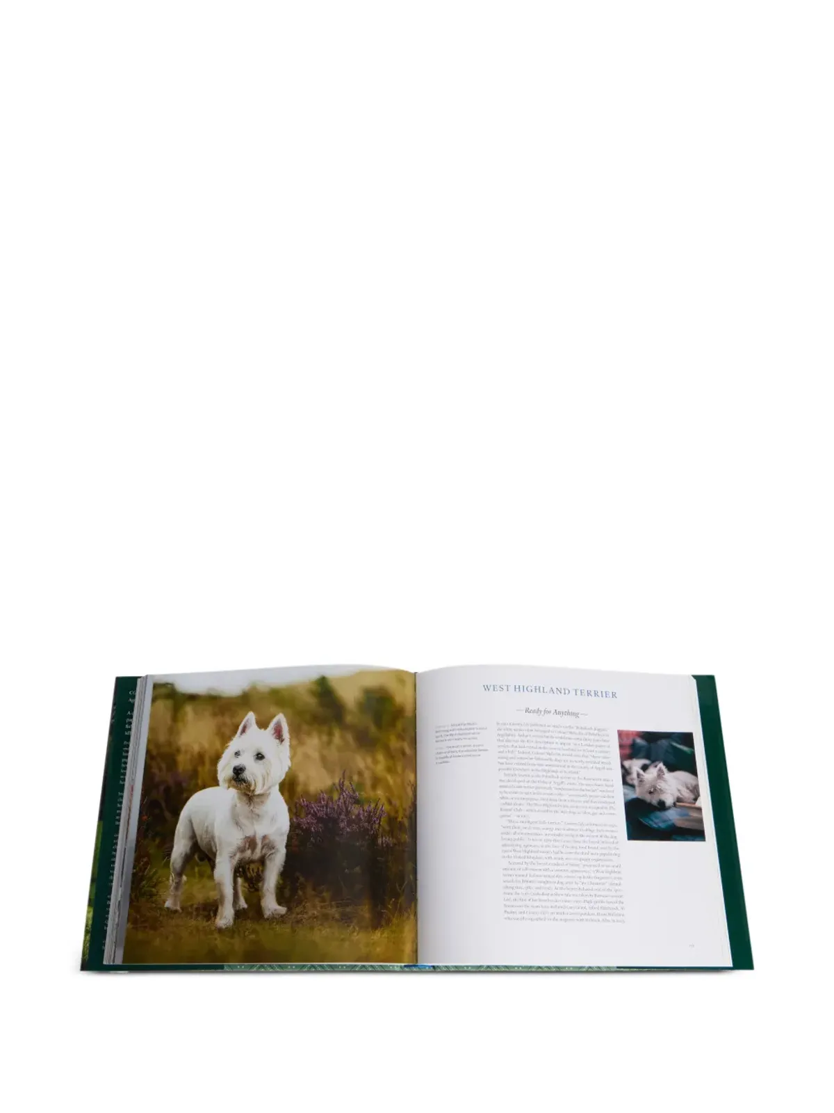 Rizzoli Country Life's Book of Dogs book - Green - 画像4