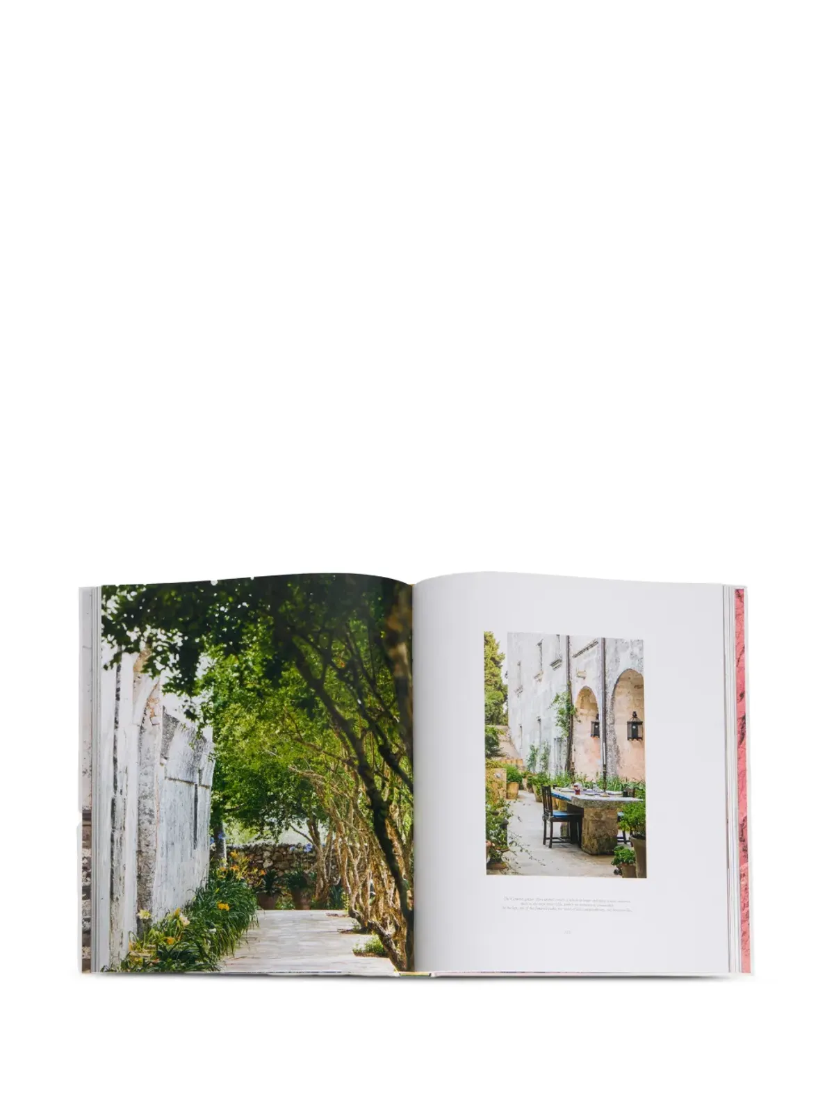 Rizzoli Salento Dwellings本 - 画像3
