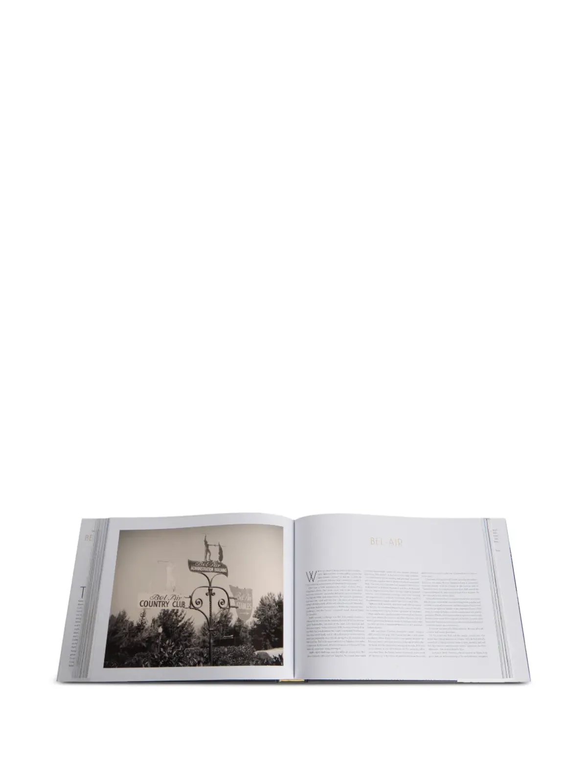 Rizzoli ビバリーヒルズの伝説的邸宅 ブック - 画像5
