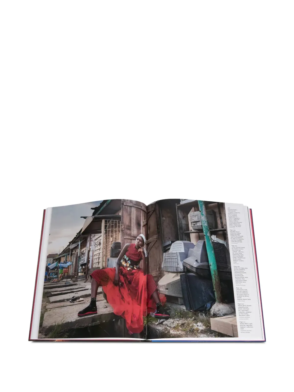 Flammarion 'Africa: the Fashion Continent' book - Blue - 画像4