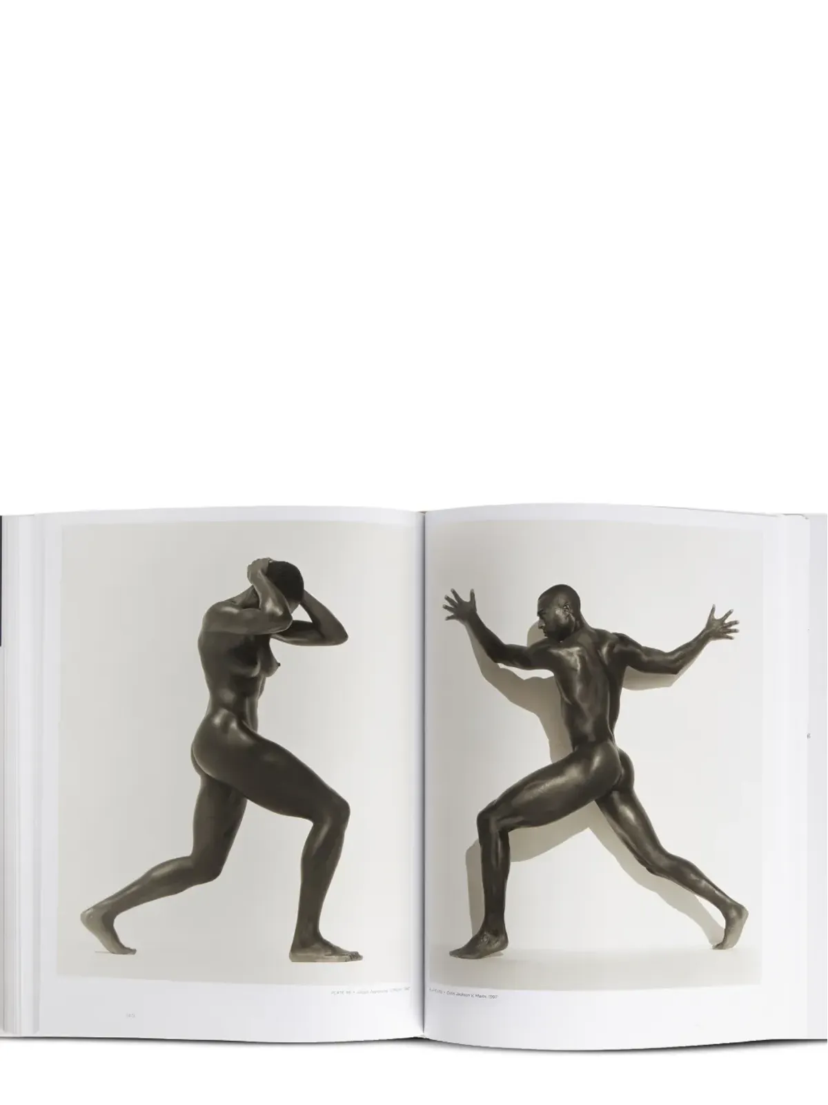Rizzoli Herb Ritts: L.A. Style ブック - 画像5