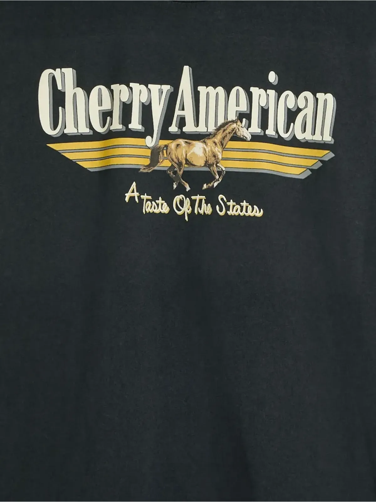 Cherry LA コースト・トゥ・コースト 馬のグラフィック Tシャツ ブラック - 画像2