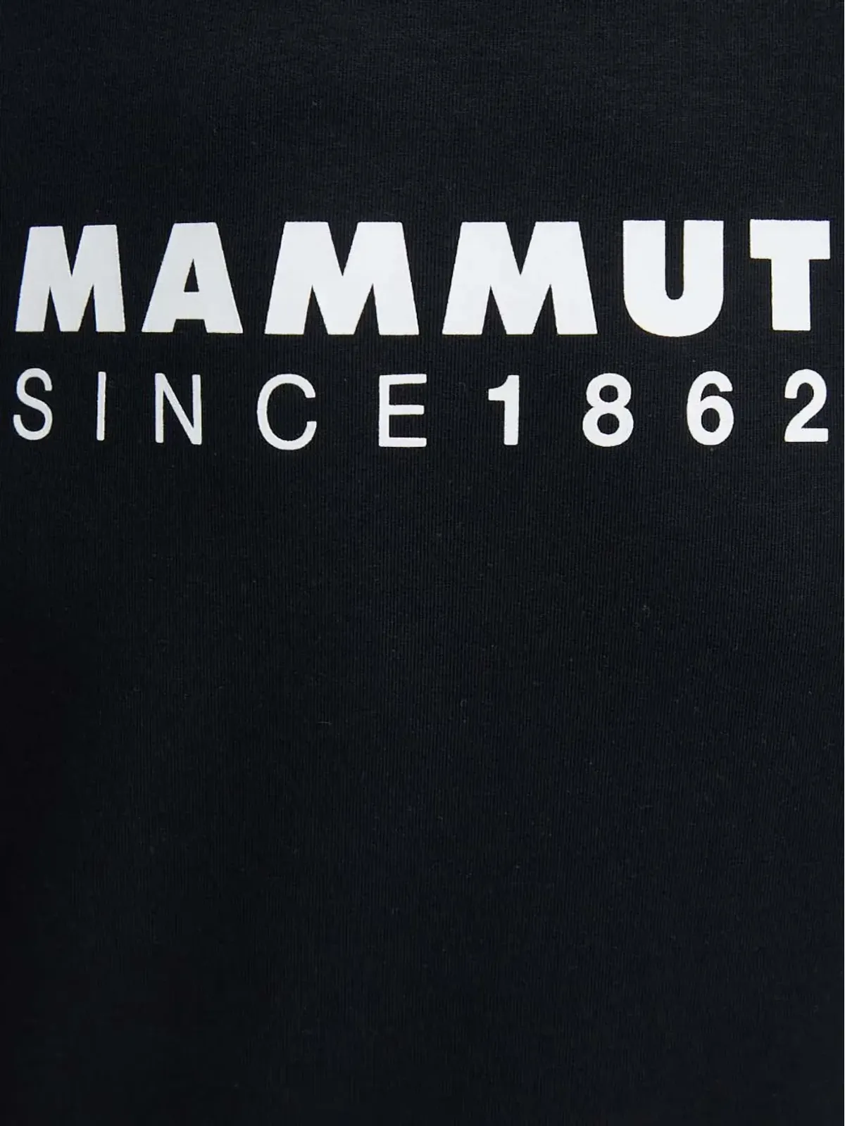 Mammut ロゴディテール パーカー - 画像5