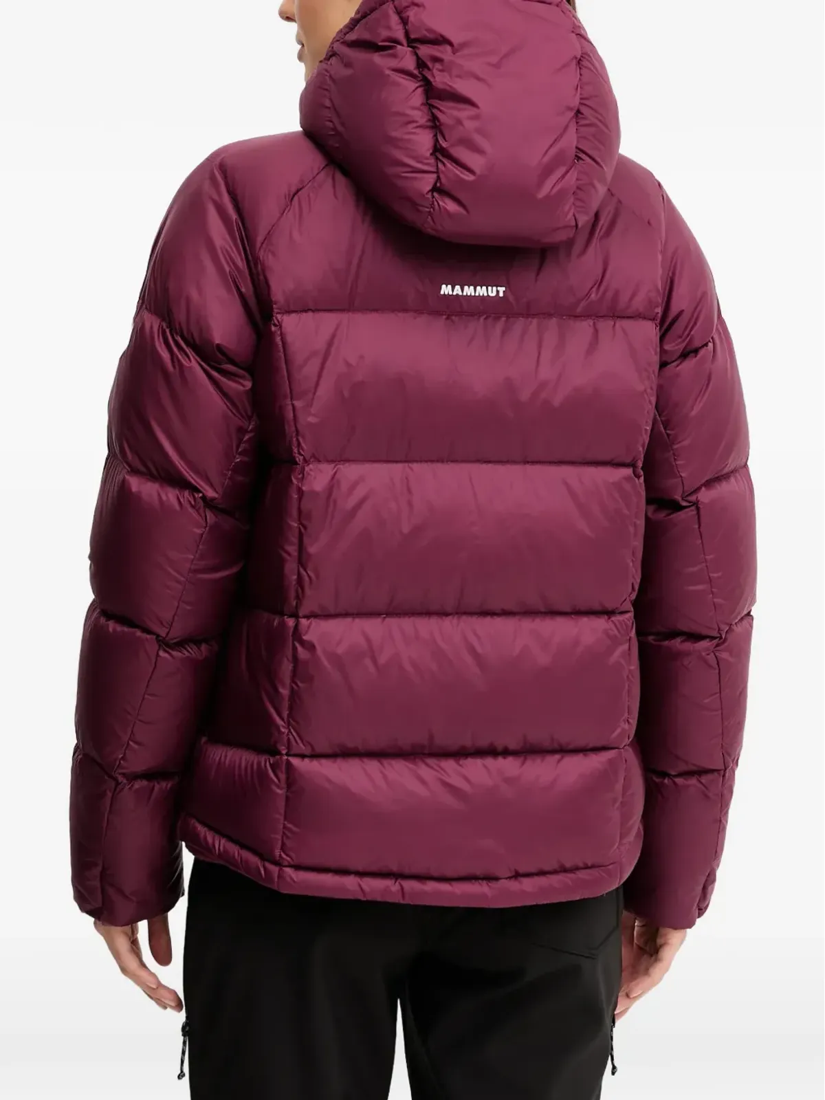 Mammut Glacier Glow IN ジップアップフード付きジャケット - 画像3