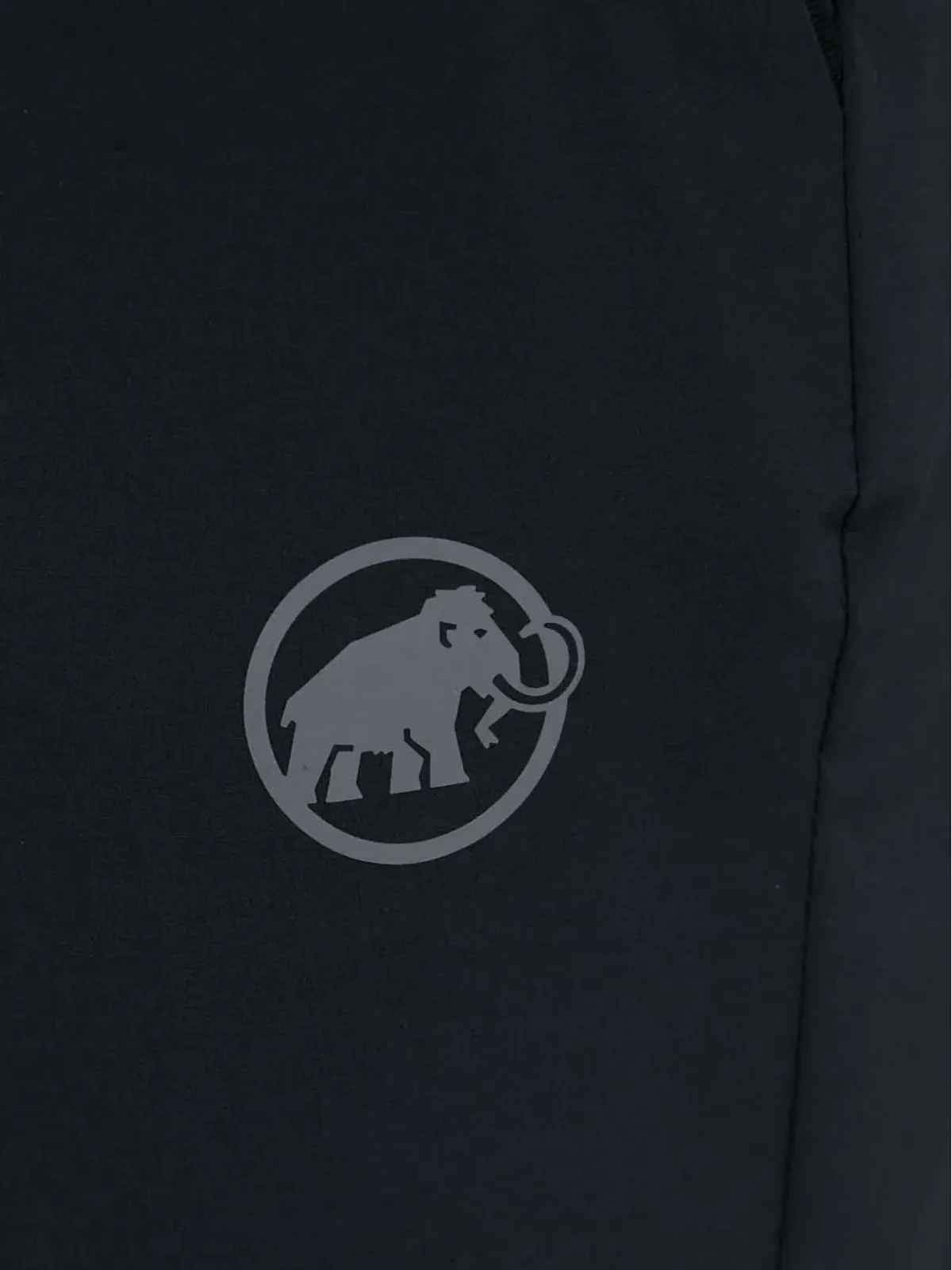 Mammut ロゴショーツ - 画像4