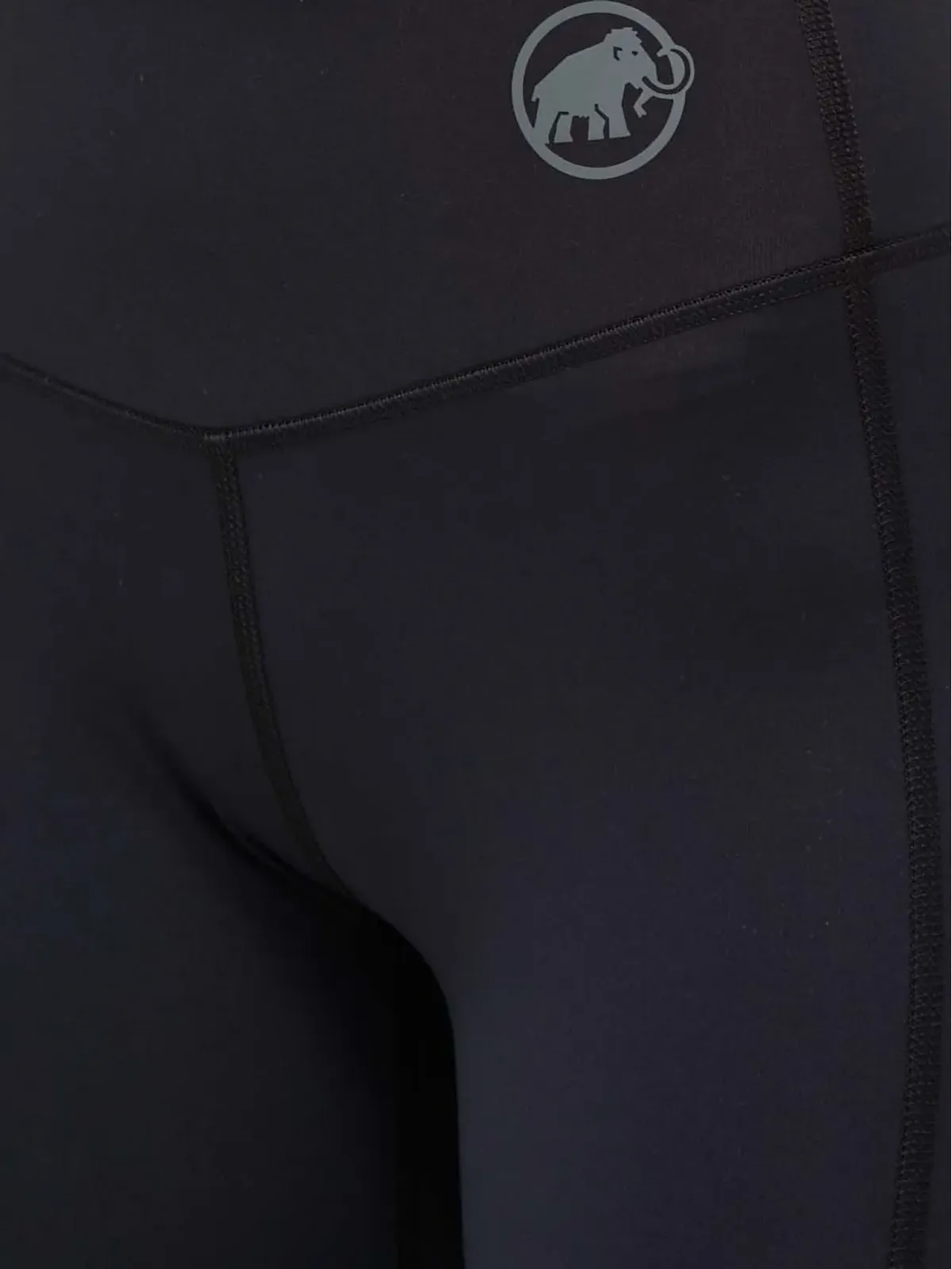 Mammut Massone レギンス - 画像4