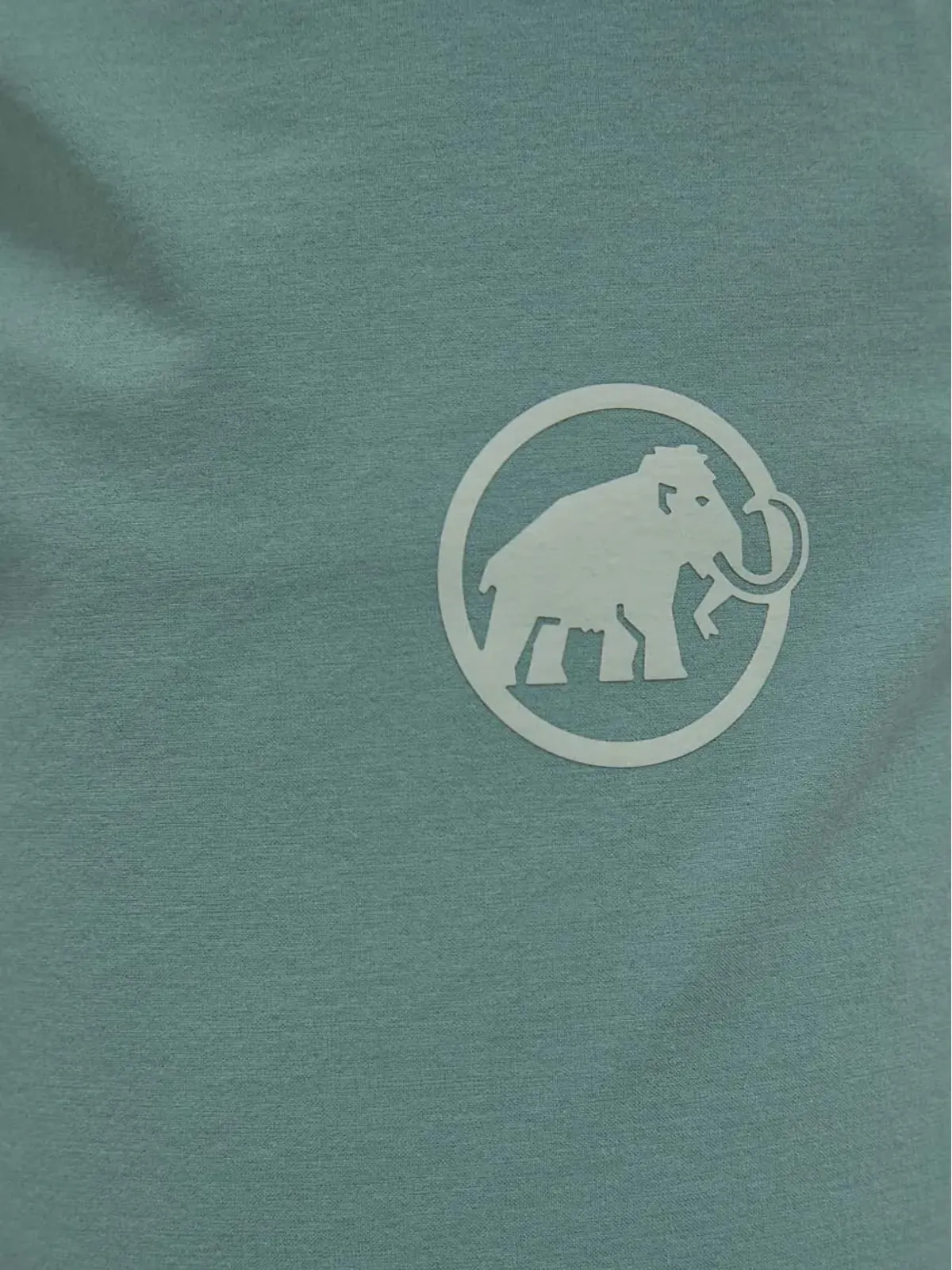 Mammut Runbold ショーツ - 画像4
