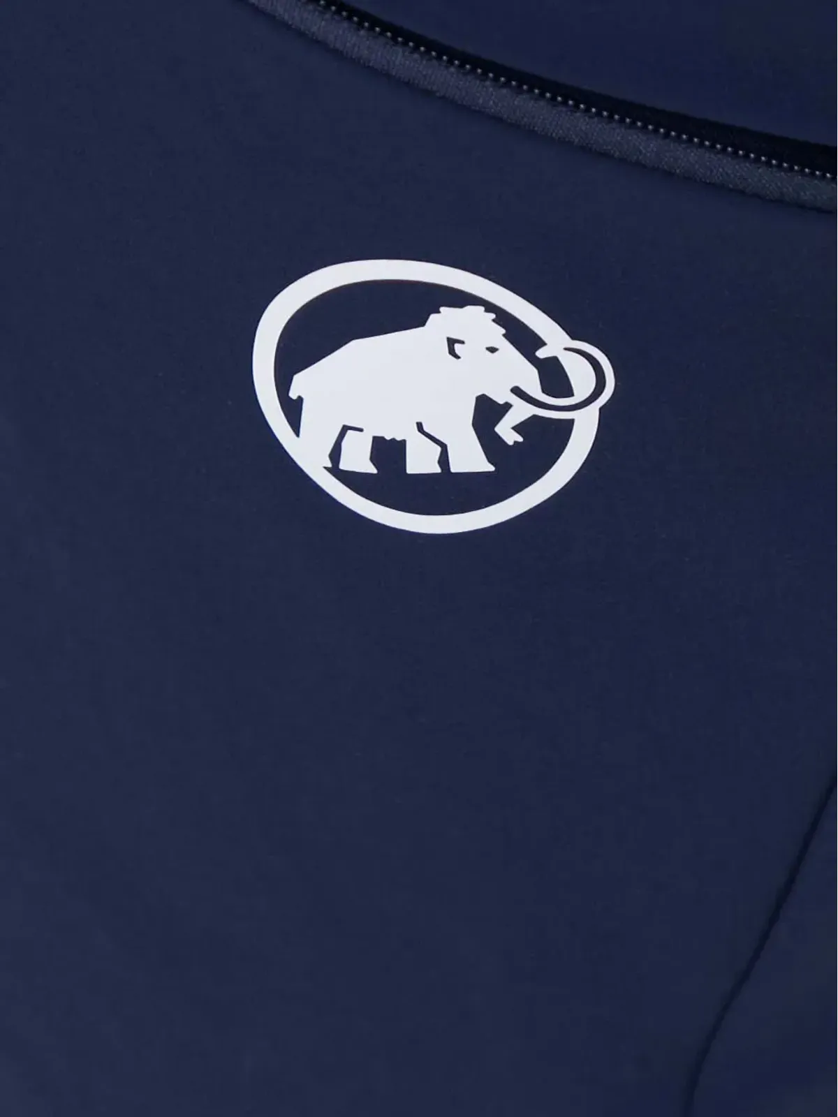 Mammut Aenergy Light SO ロゴジップショーツ - ブルー - 画像4