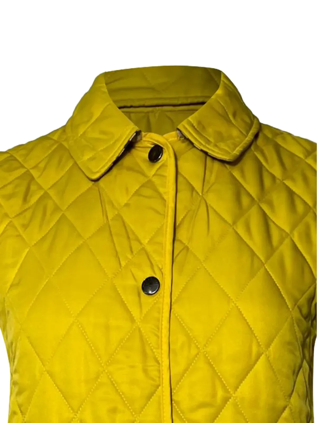 Burberry Pre-Owned キルティングボタンベスト - 画像4