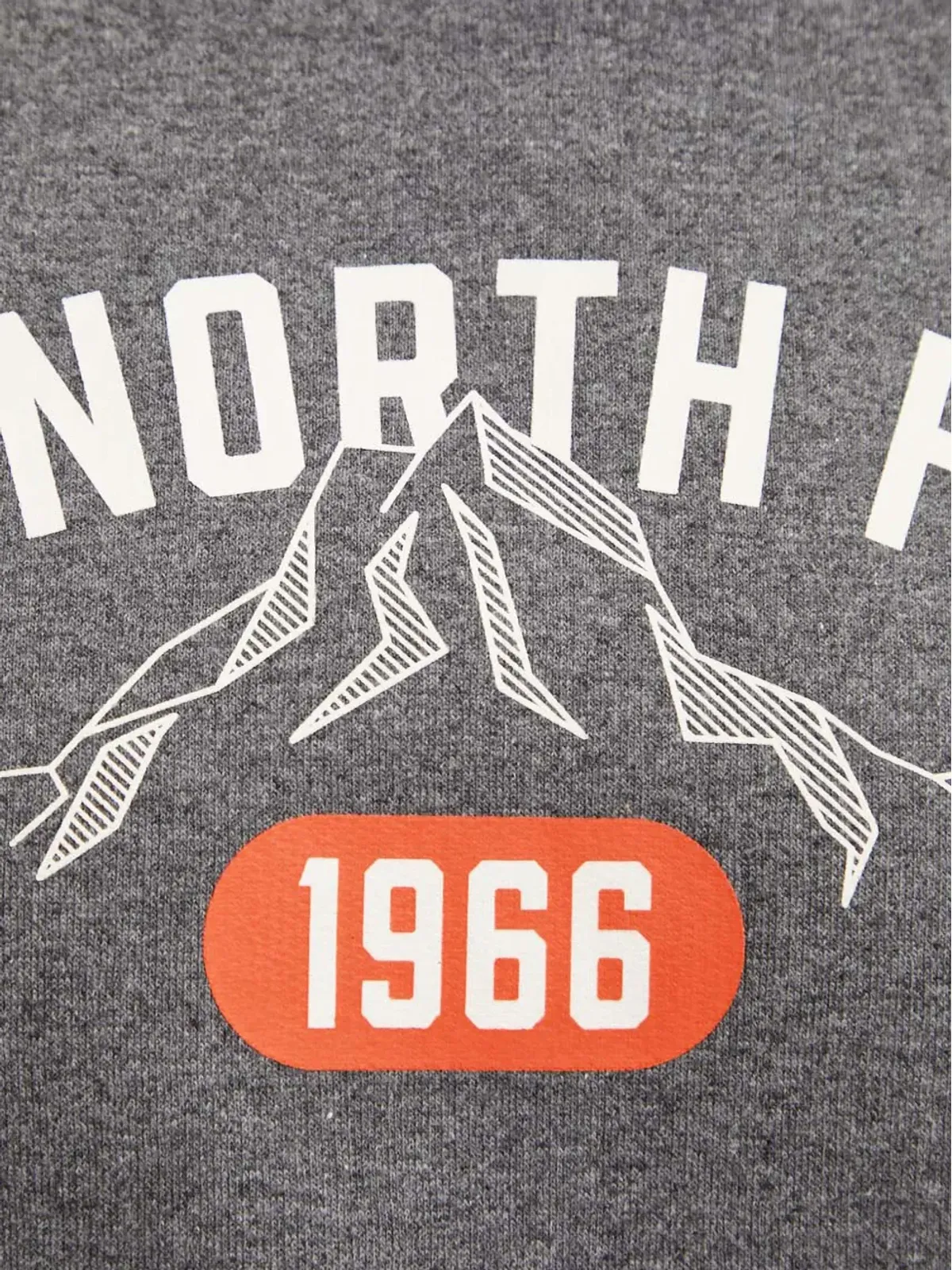 The North Face グラフィックフード付きセーター - 画像5