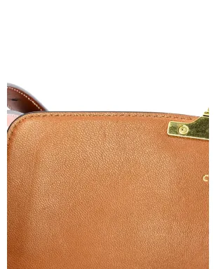 Celine Pre-Owned トリオンフ コーテッドキャンバス ショルダーバッグ - ブラウン - サムネイル5