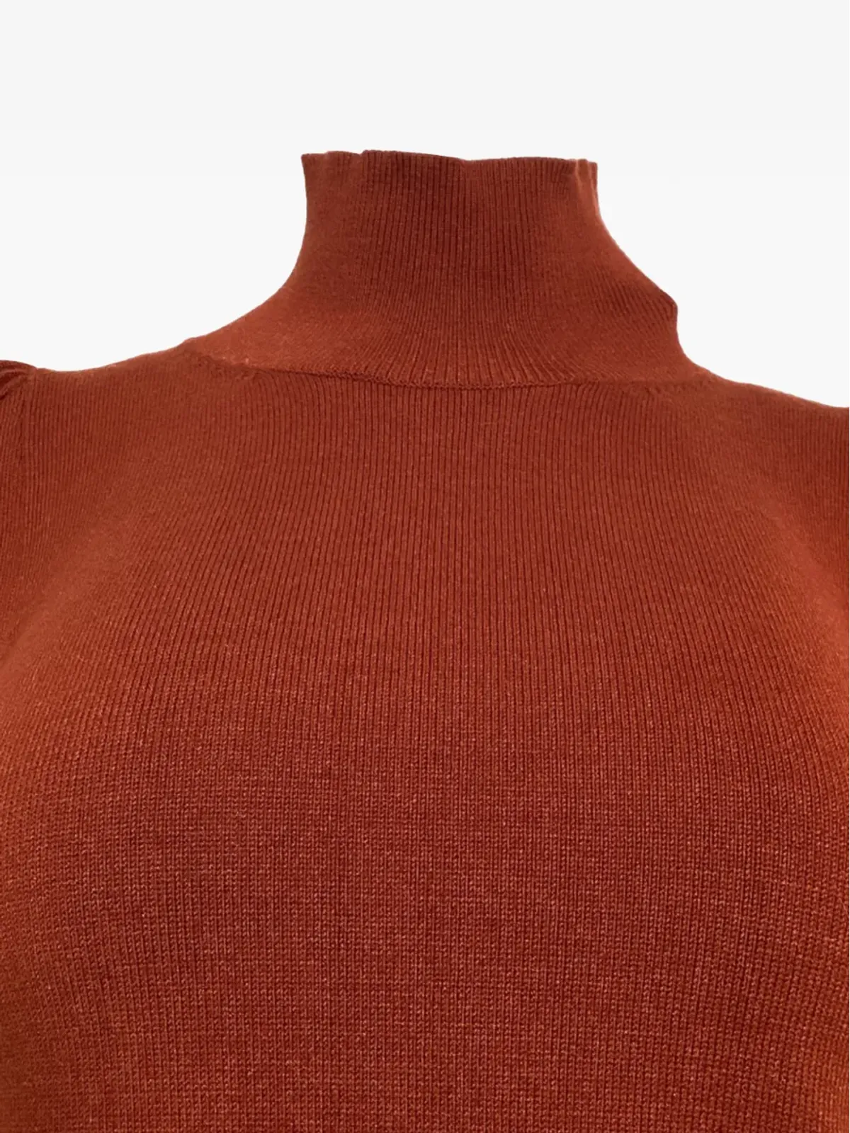 Caroline Constas Ivy high-neck top - Brown - 画像2
