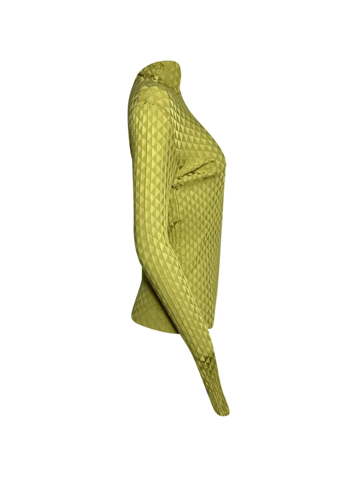 Bottega Veneta Pre-Owned ドラゴン タートルネック トップ - Green - 画像2