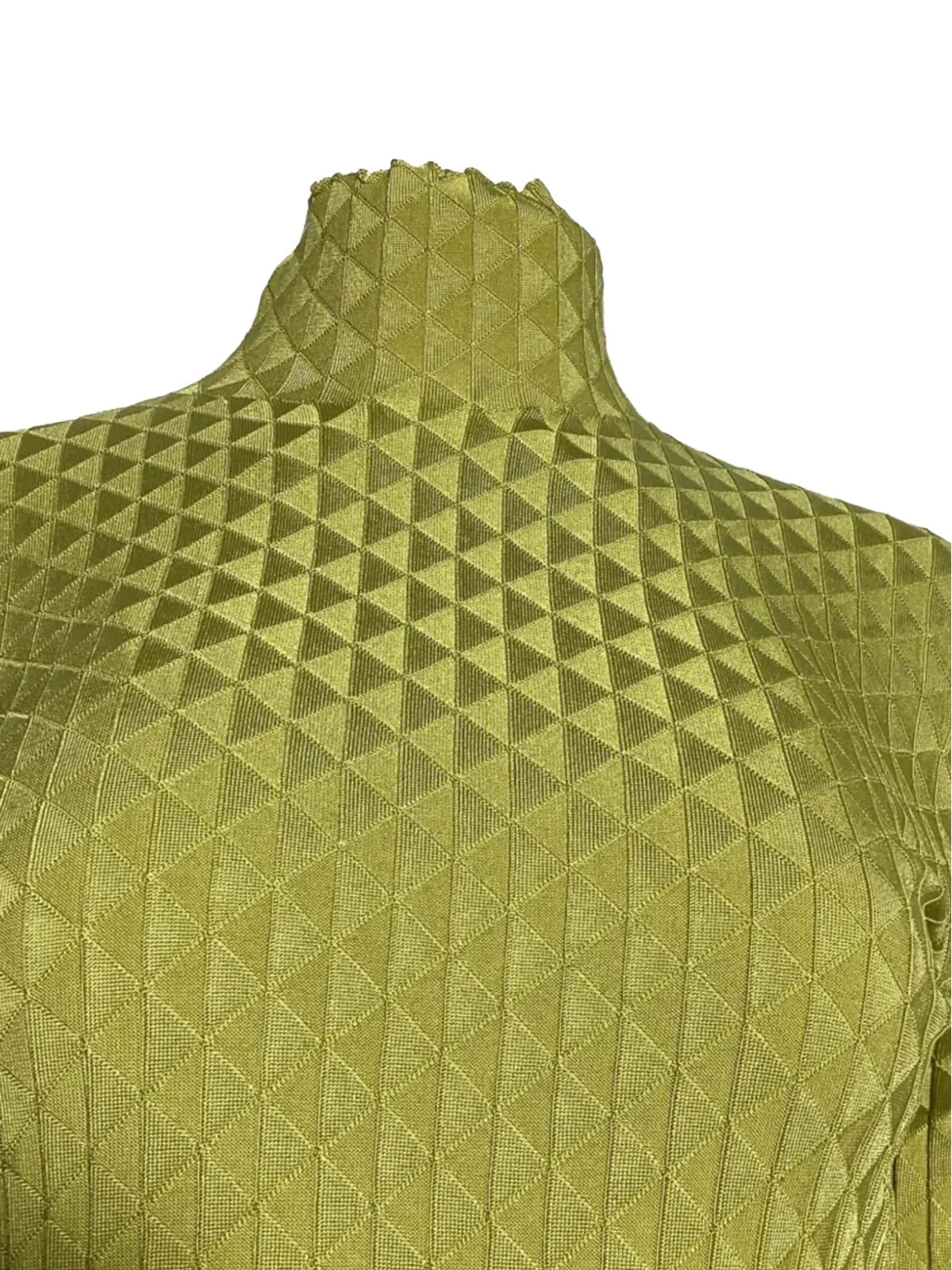 Bottega Veneta Pre-Owned ドラゴン タートルネック トップ - Green - 画像3