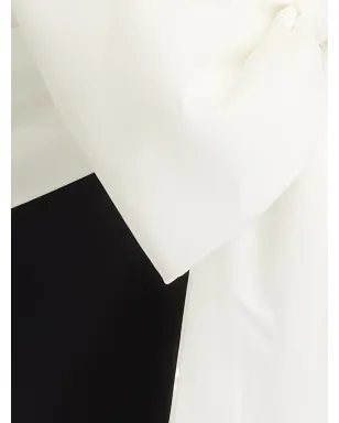 Tadashi Shoji ボウディテール Vネック パネルドレス - サムネイル5