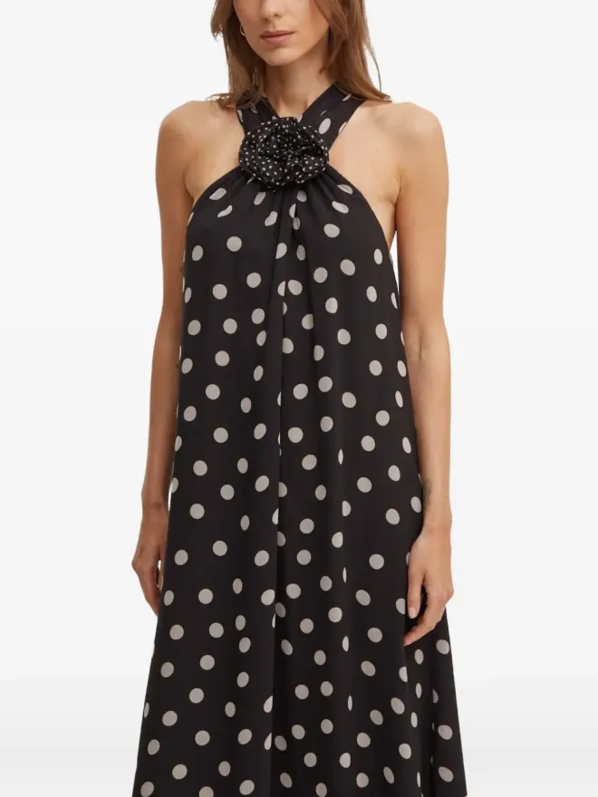 Sandro Ferrone Sandro Ferrone polka dot maxi dress - Blackの商品画像