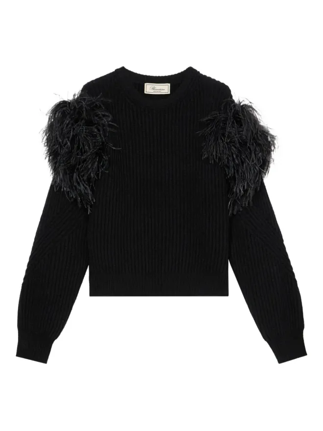 Blumarine Blumarine 羽毛飾り付き編みニットセーターの商品画像