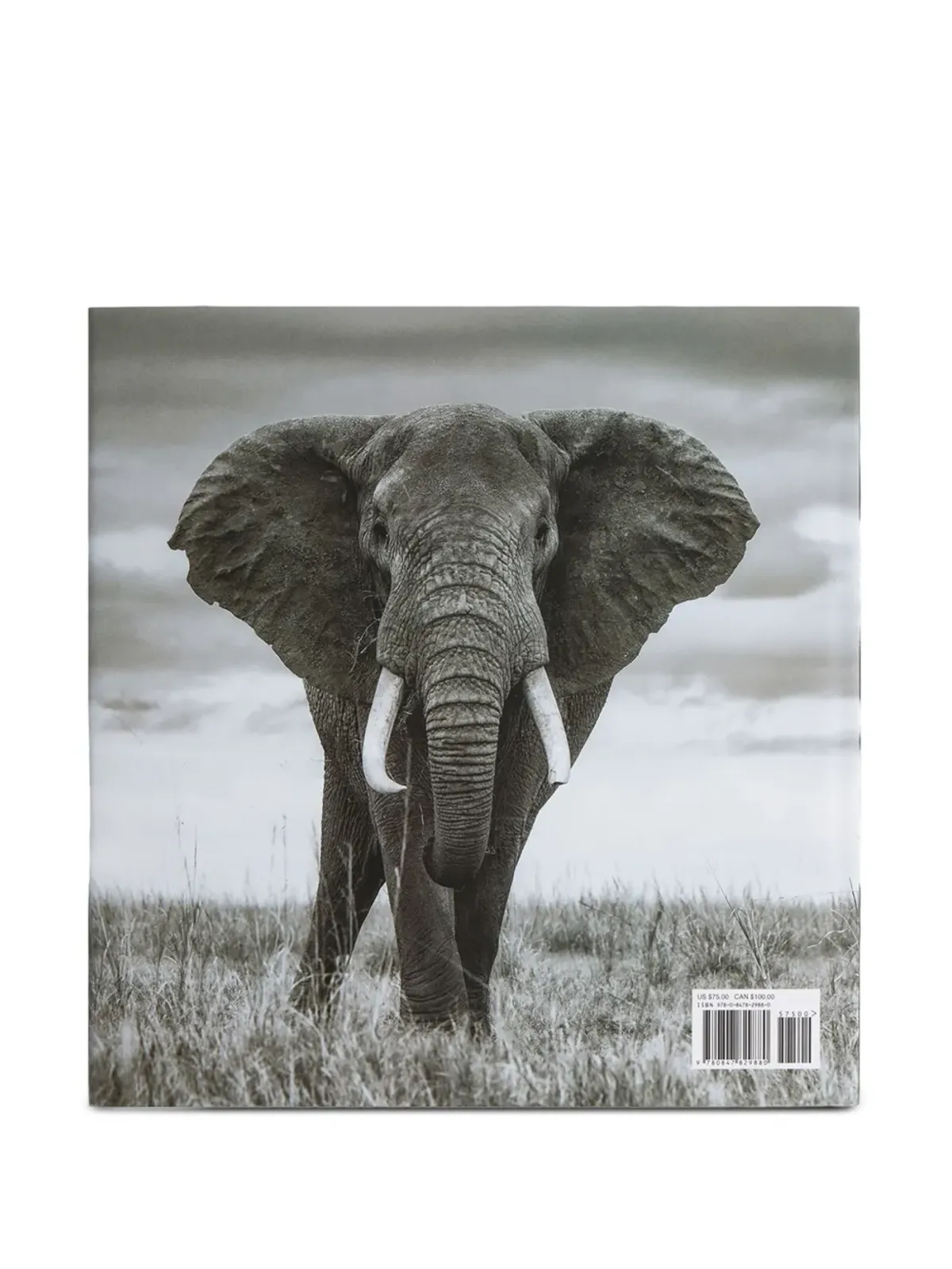 Rizzoli Experiencing Africa: On Safari The People The Land book - 画像5