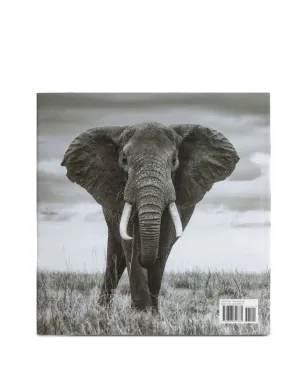 Rizzoli Experiencing Africa: On Safari The People The Land book - サムネイル5