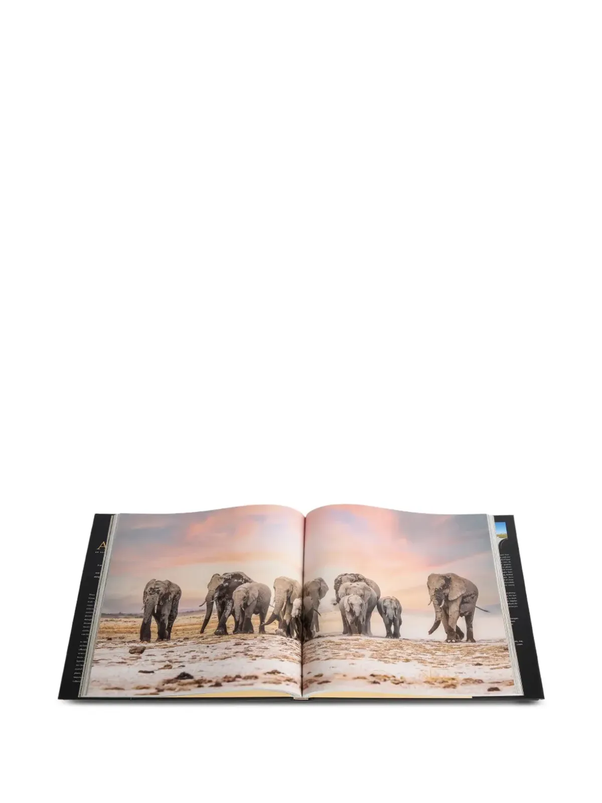 Rizzoli Experiencing Africa: On Safari The People The Land book - 画像2