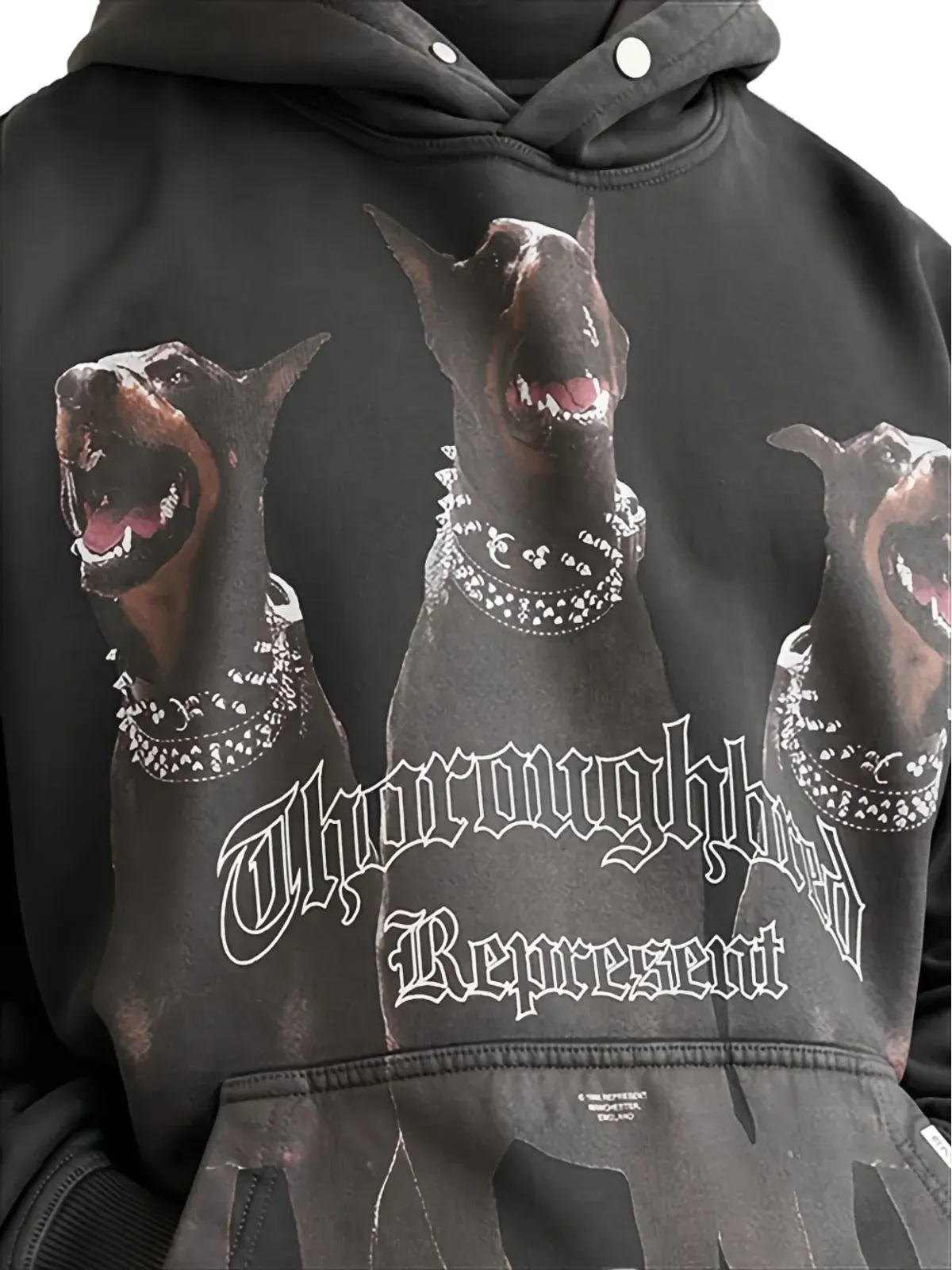 Represent Thoroughbred グラフィックプリントフーディー（グレー） - 画像4