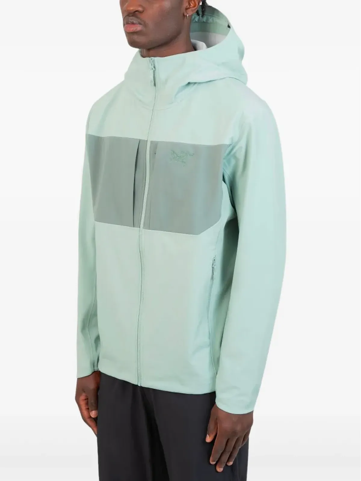Arc'teryx パネル付きジップアップフーディ - 画像2