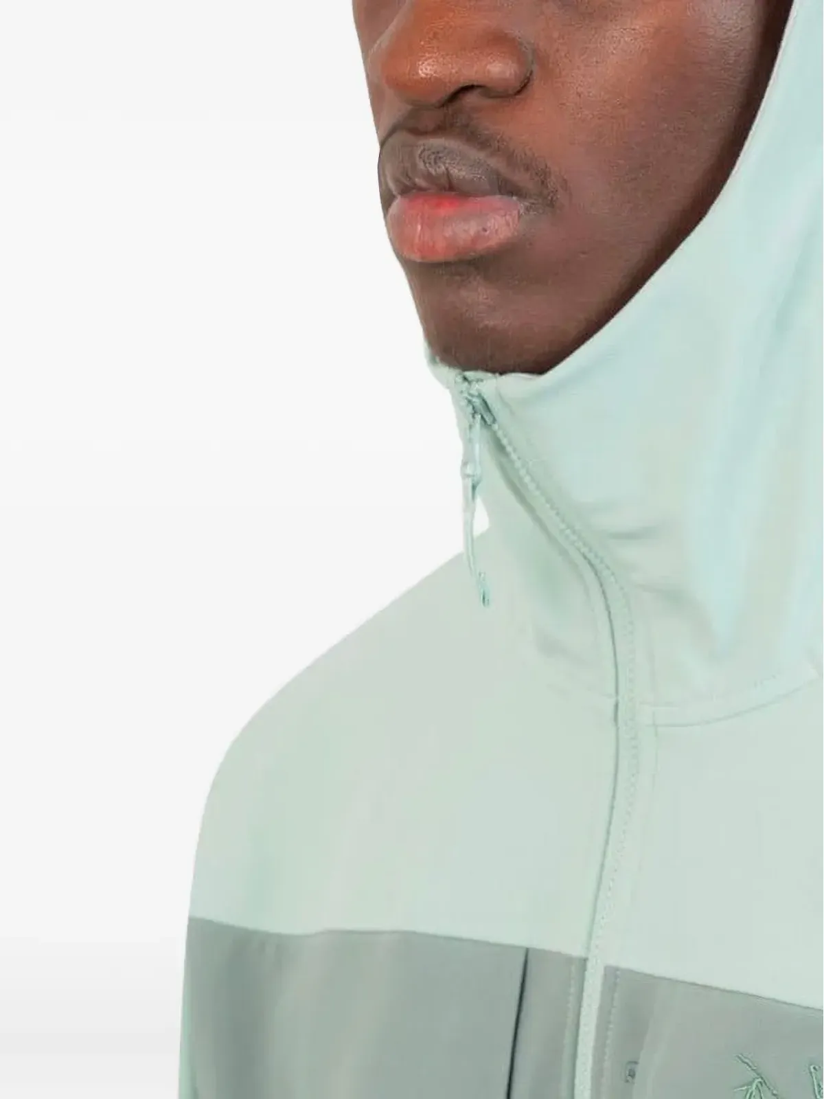 Arc'teryx パネル付きジップアップフーディ - 画像4