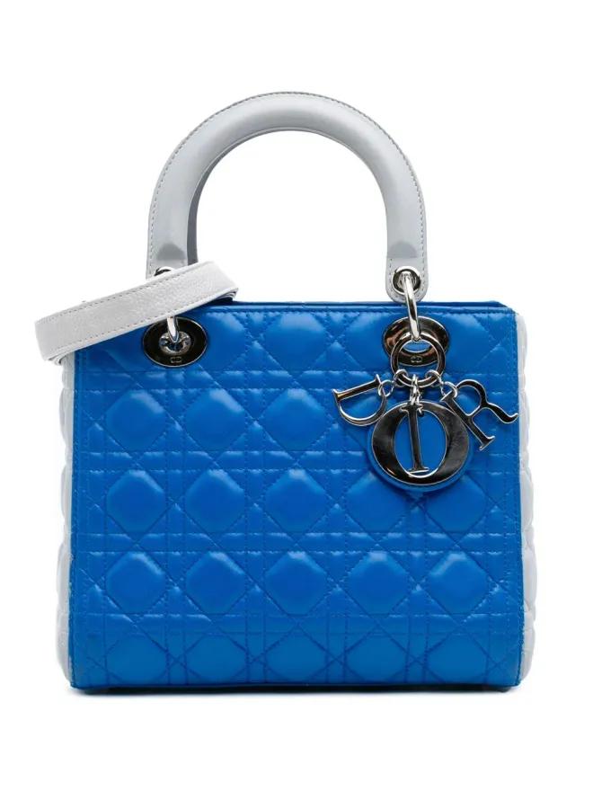 Christian Dior Pre-Owned Christian Dior Pre-Owned レディ ディオール サッチェルの商品画像