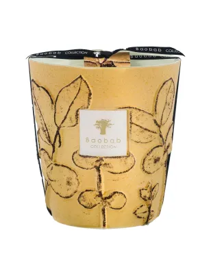 Baobab Collection Garrigue エンボス加工セラミックキャンドル - サムネイル1