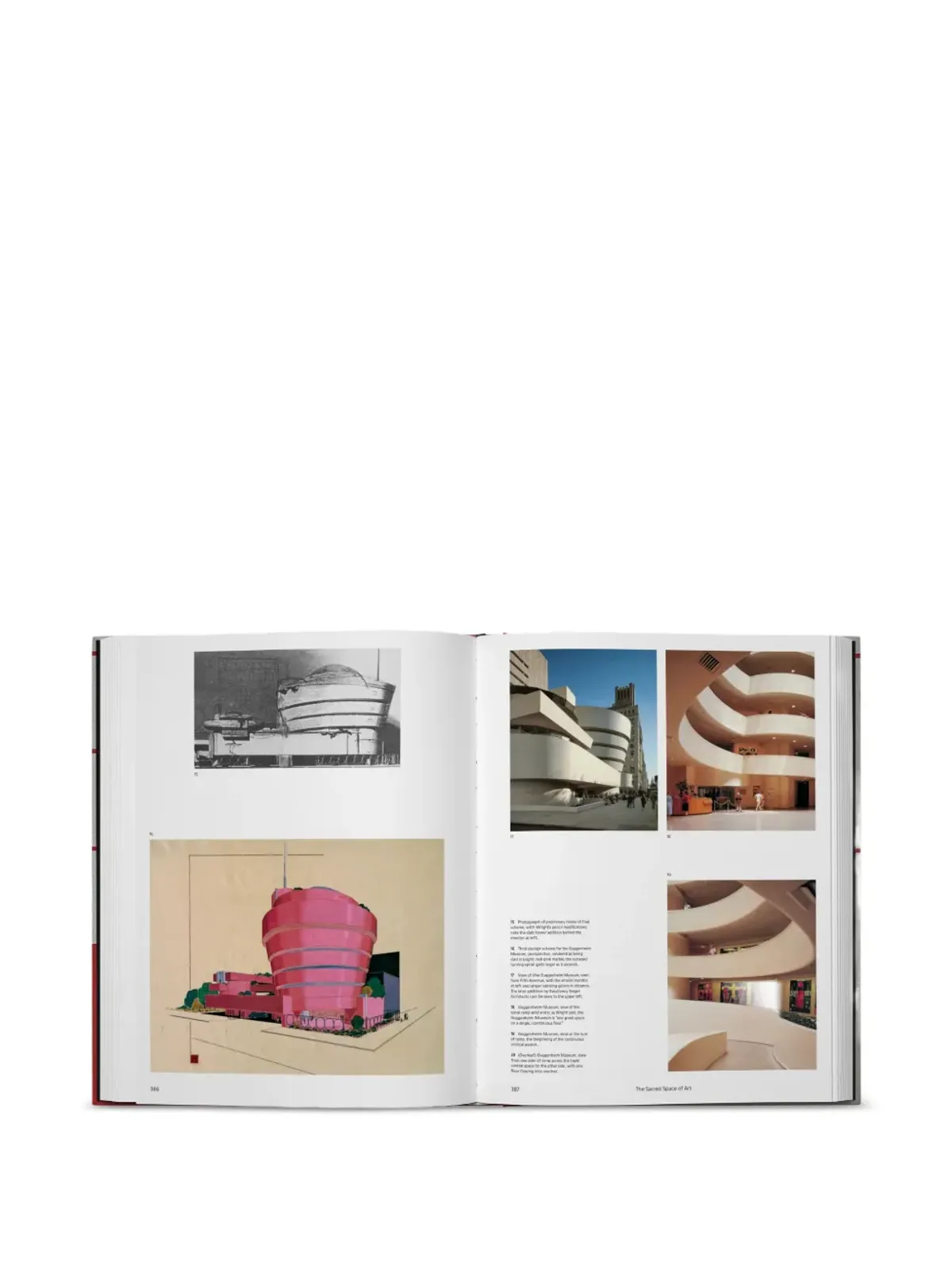Phaidon Press フランク・ロイド・ライト ブック - レッド - 画像5
