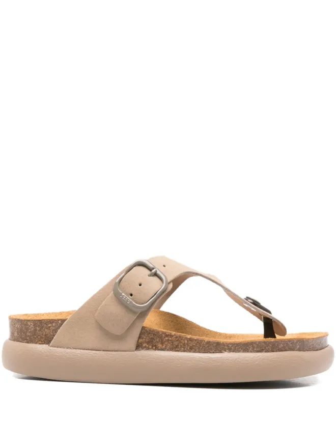 Scholl Scholl アナイス トングサンダルの商品画像