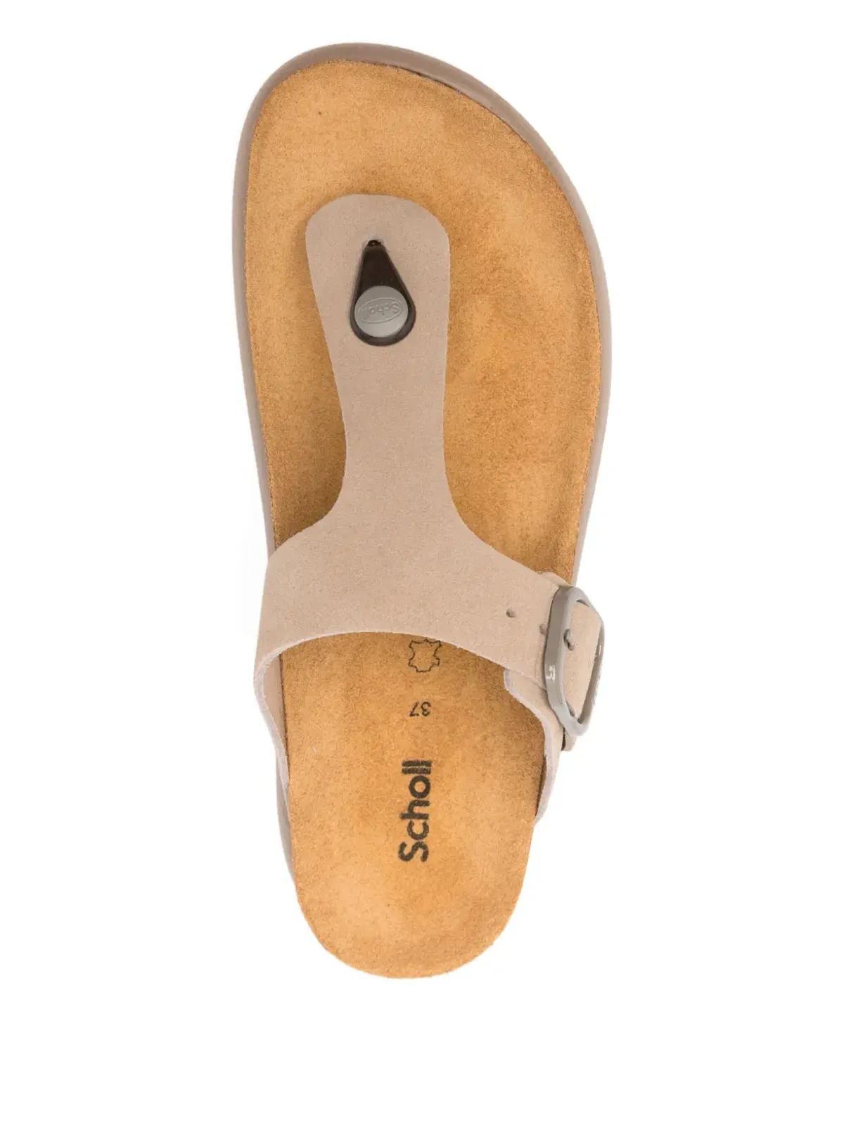 Scholl アナイス トングサンダル - 画像4