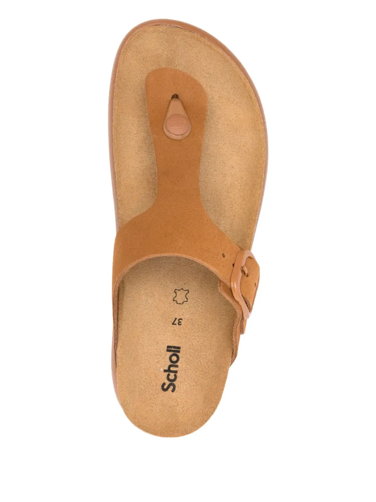 Scholl バックルファスニング トングサンダル - 画像4