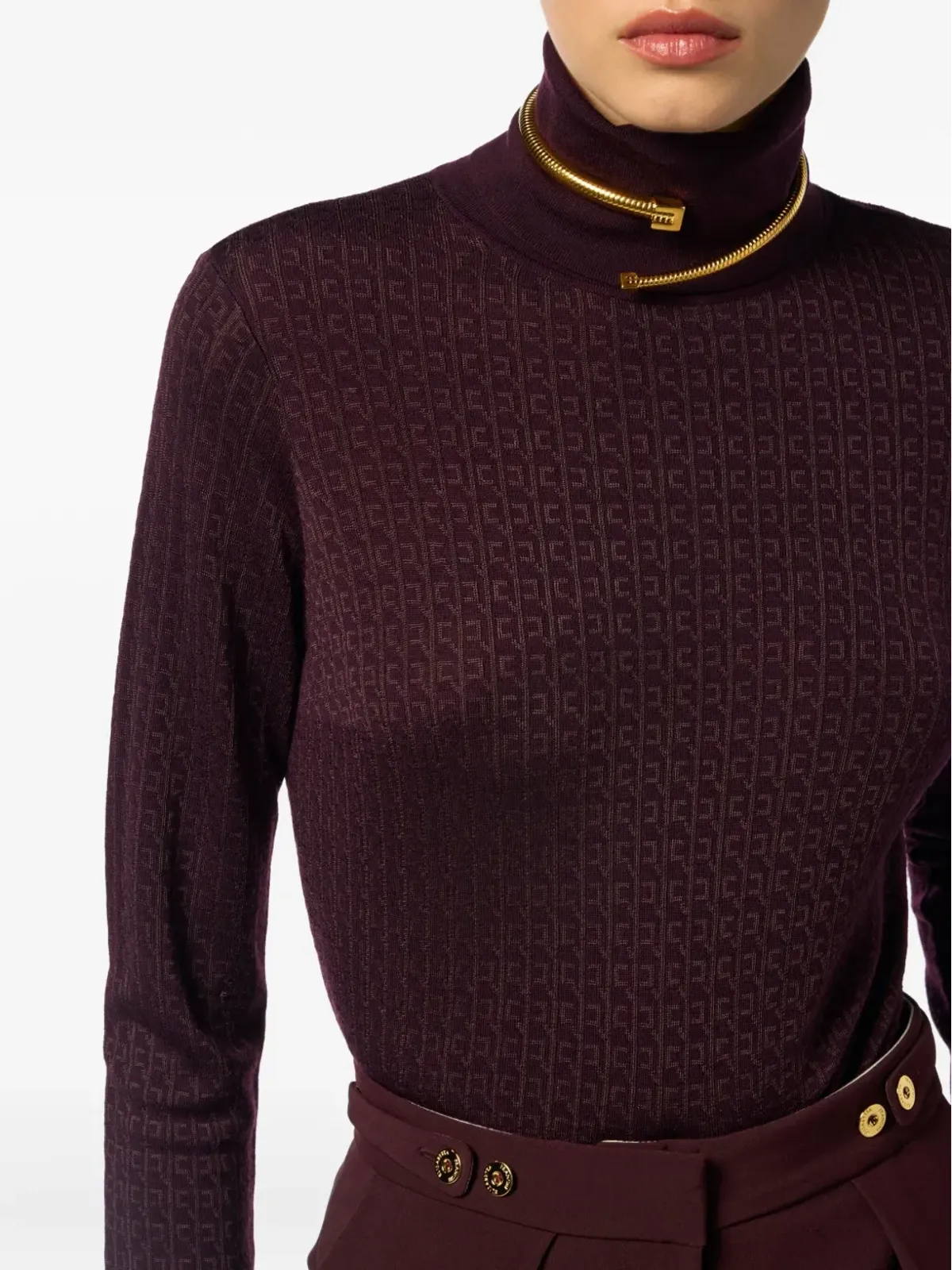 Elisabetta Franchi ジャカード ロールネック ジャンパー - 画像5