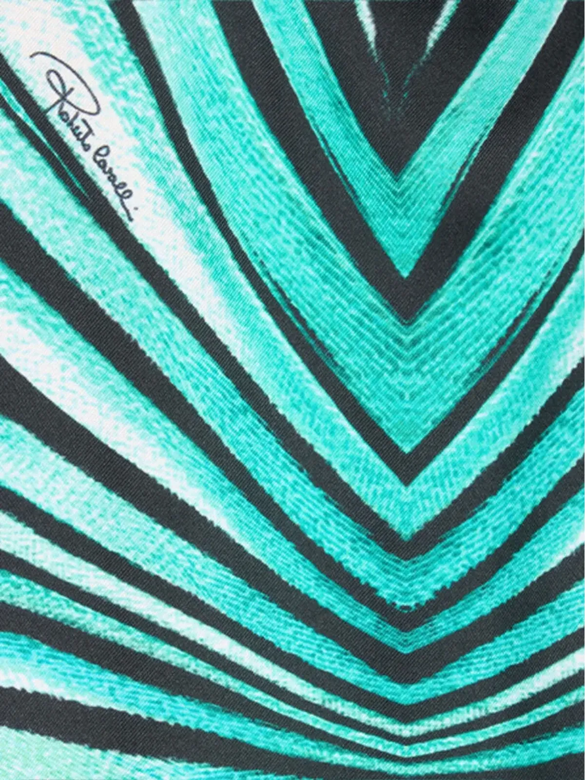 Roberto Cavalli プリントボタンアップシャツ - 画像5