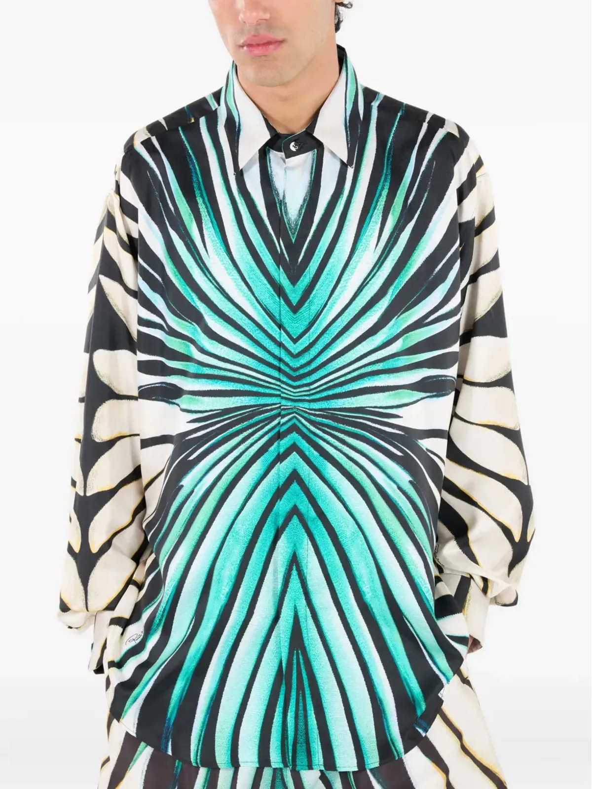 Roberto Cavalli プリントボタンアップシャツ - 画像3