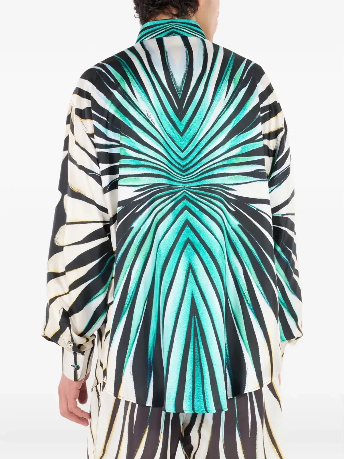 Roberto Cavalli プリントボタンアップシャツ - 画像4