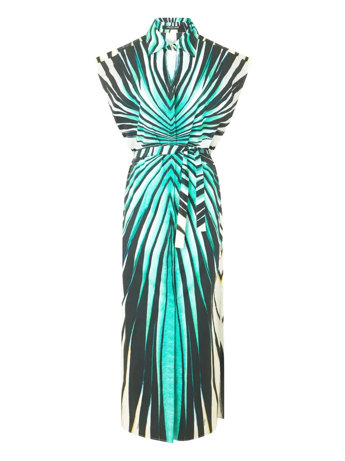 Roberto Cavalli プリント柄ミディドレス - 画像1