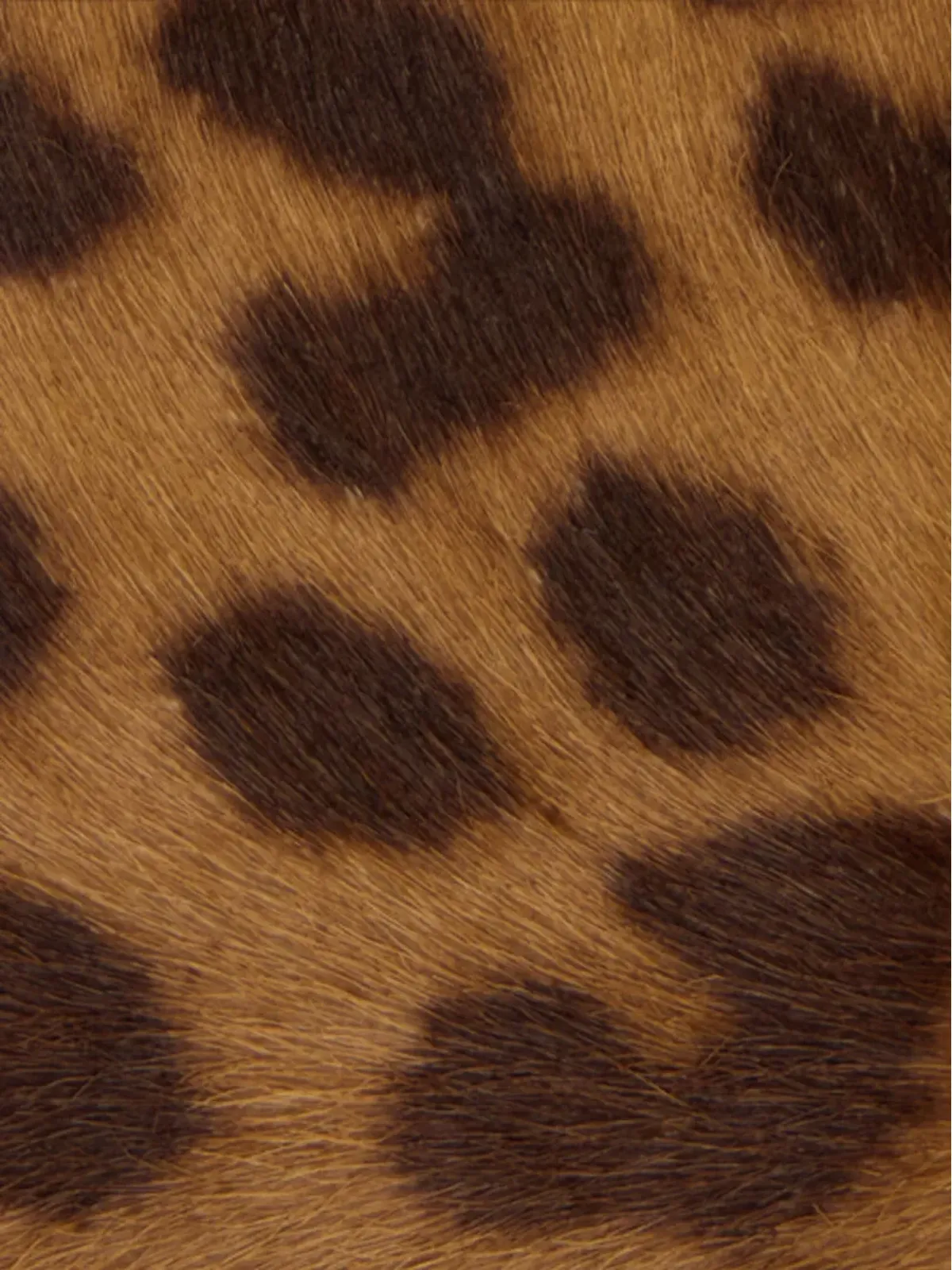 Roberto Cavalli ゼブラ柄クリスタル装飾ベルト - 画像4