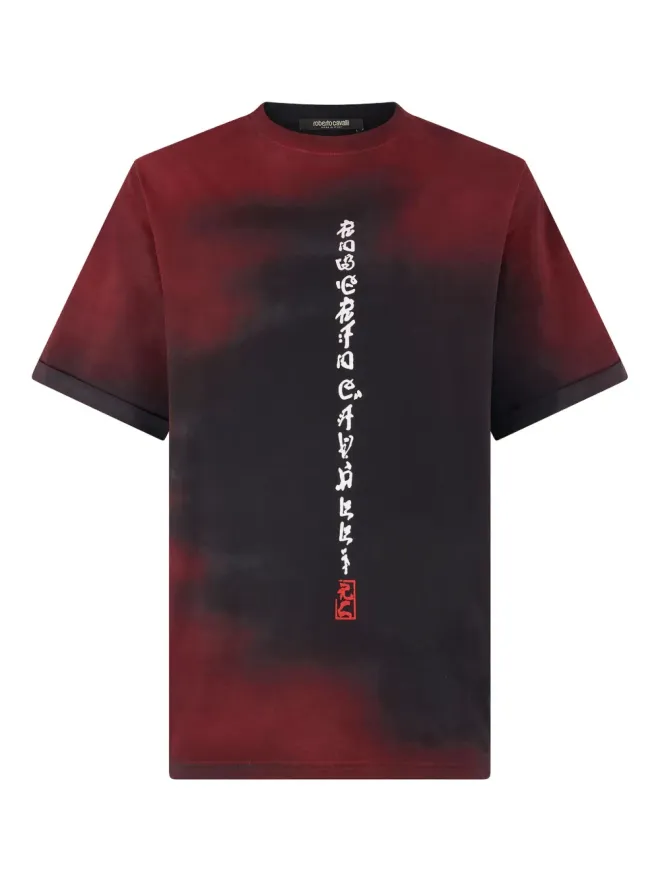 Roberto Cavalli Roberto Cavalli ドラゴンプリント タイダイ風 Tシャツの商品画像