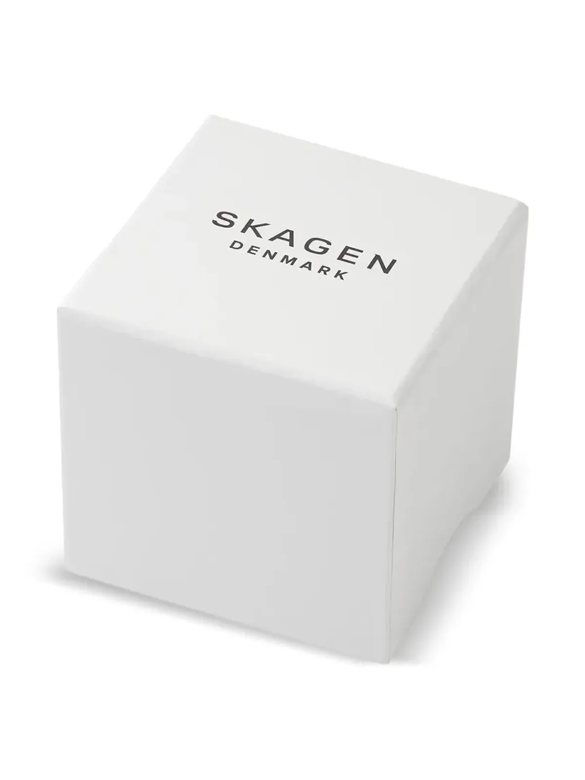 Skagen ラウンドフェイス ウォッチ - ブルー - 画像5