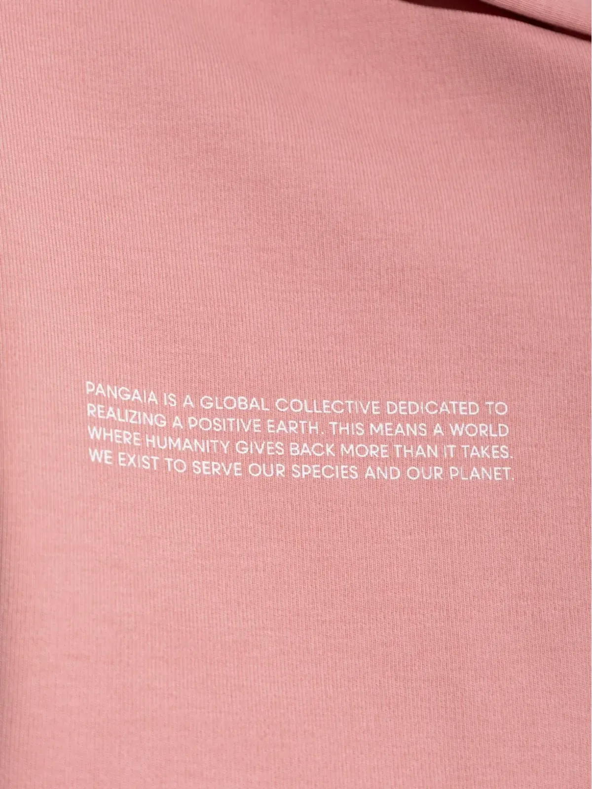 Pangaia ジップアップフーディー - Pink - 画像5