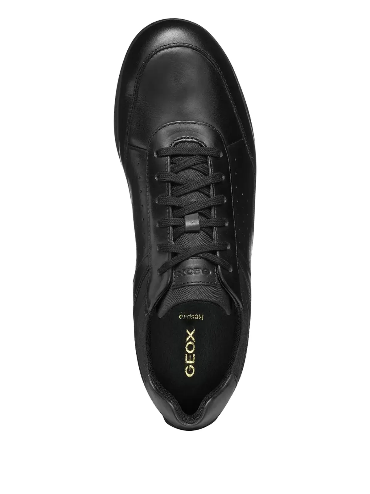 Geox レナン パンチングレザー レースアップ スニーカー - 画像4