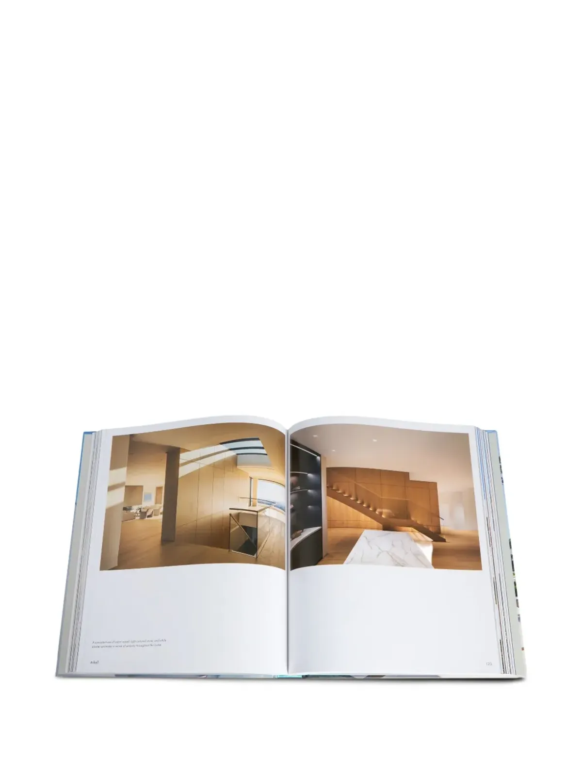 Rizzoli コンテンポラリーリビング ブック - 画像5