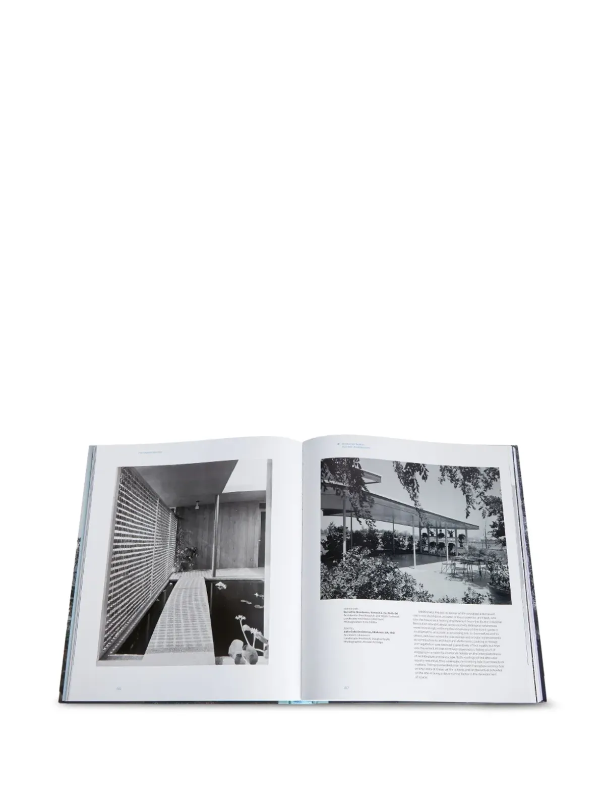 Rizzoli モダンガーデン ブック - 画像4