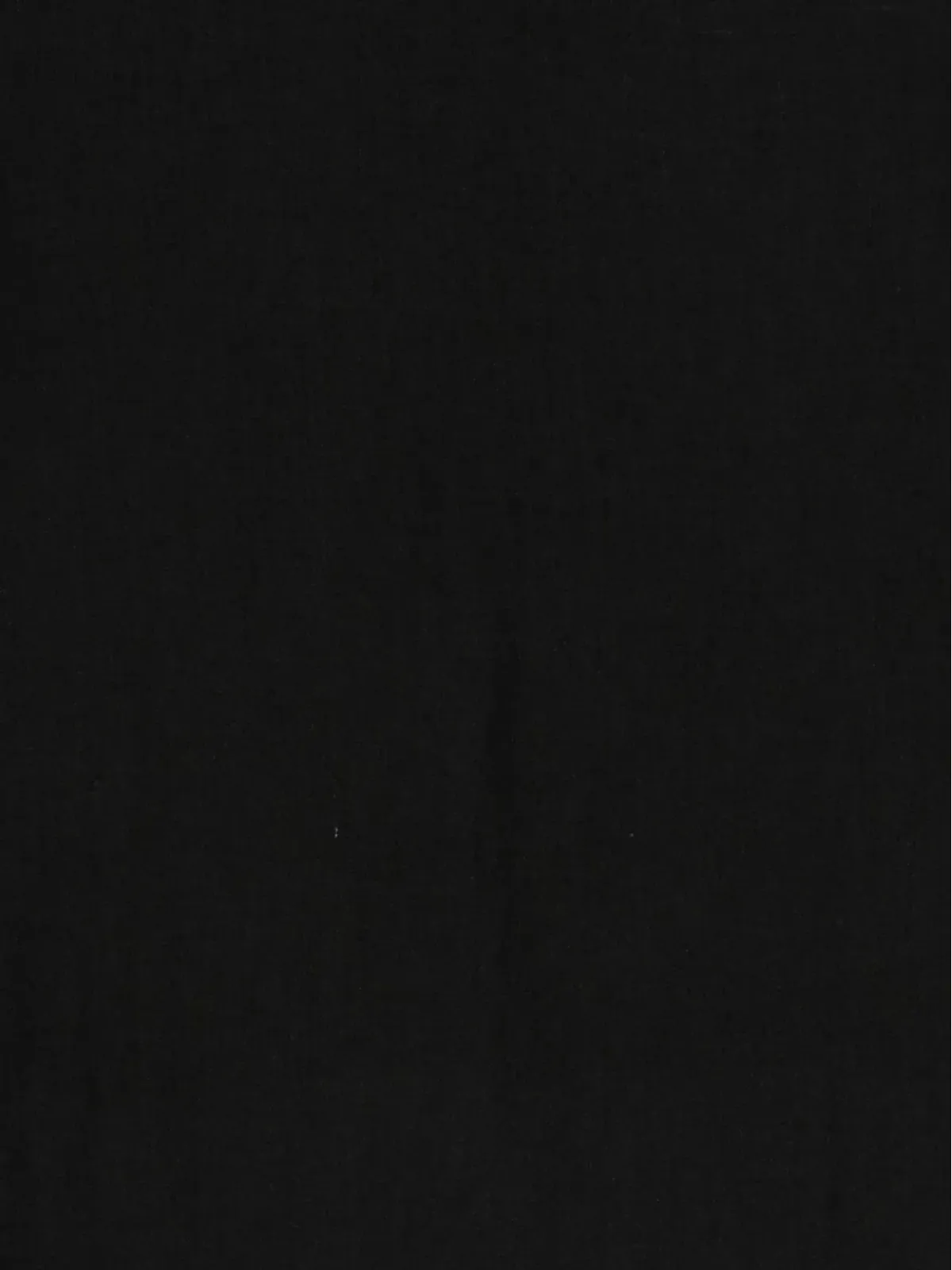Cenere GB フリンジエッジスカーフ - 画像2