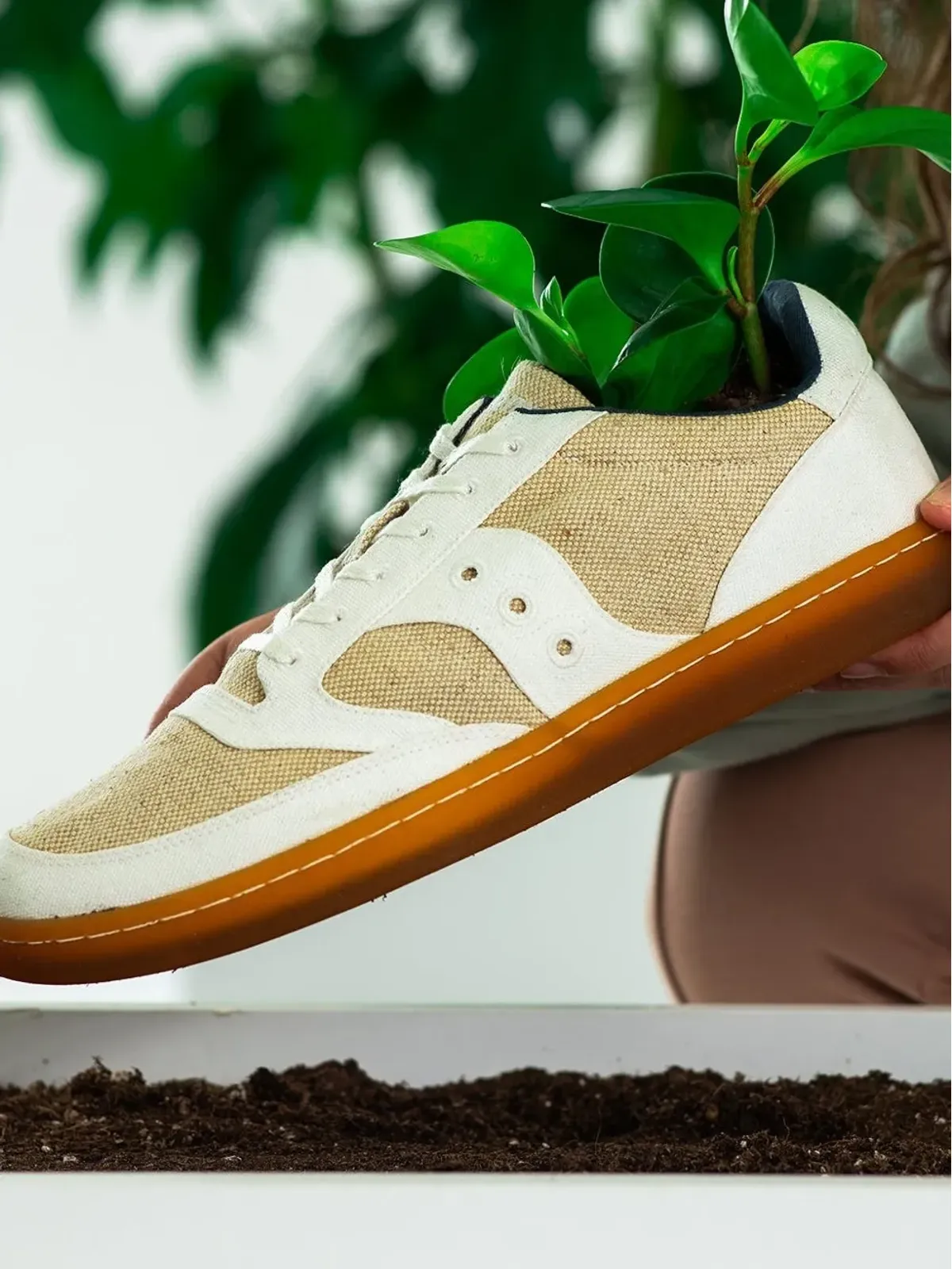 Saucony ジャズコートRFG レースアップスニーカー - ニュートラル - 画像4